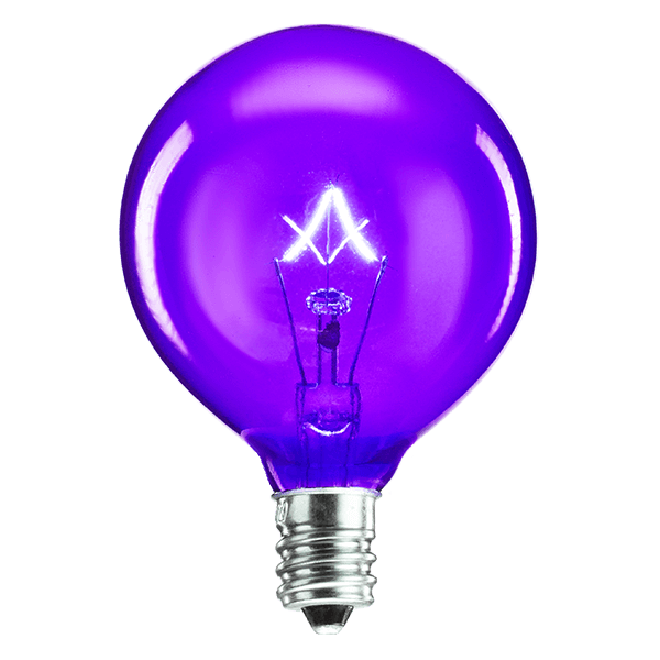 25 Watt Light Bulb Purple