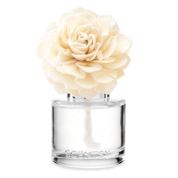 Luna Dahlia Darling Fragrance Flower